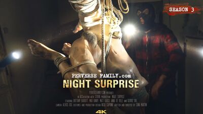 Thieves broke into the house and rape sleeping Anna De Ville